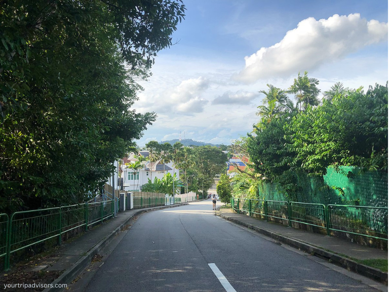 Bukit Timah Hill