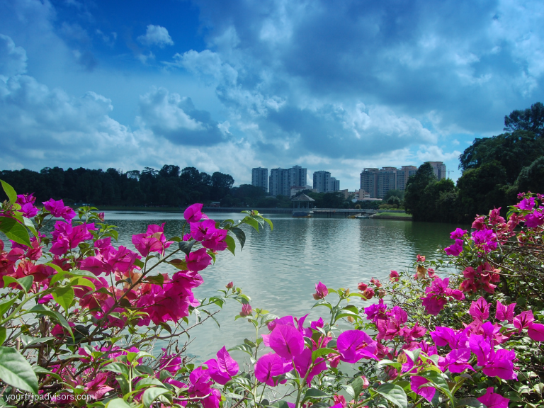 Macritchie reservoir park