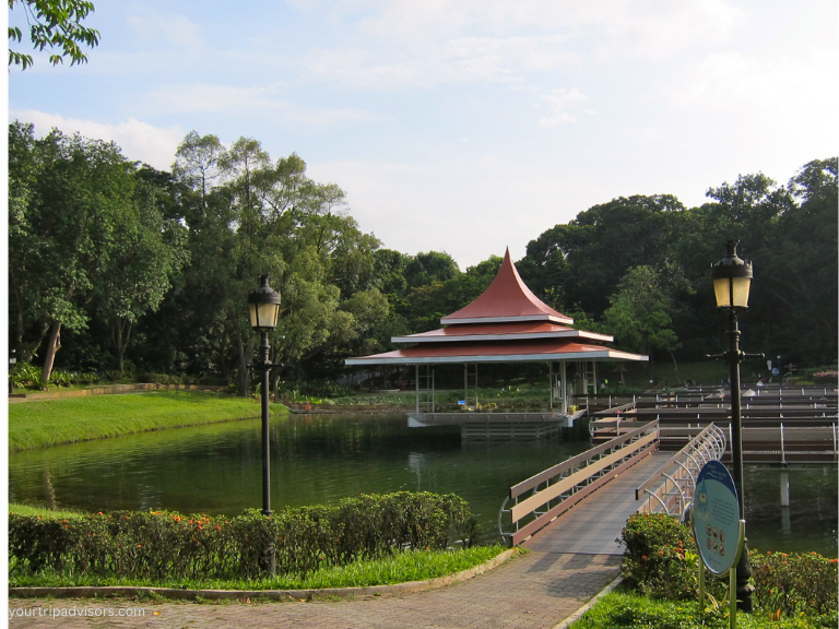 Macritchie reservoir park